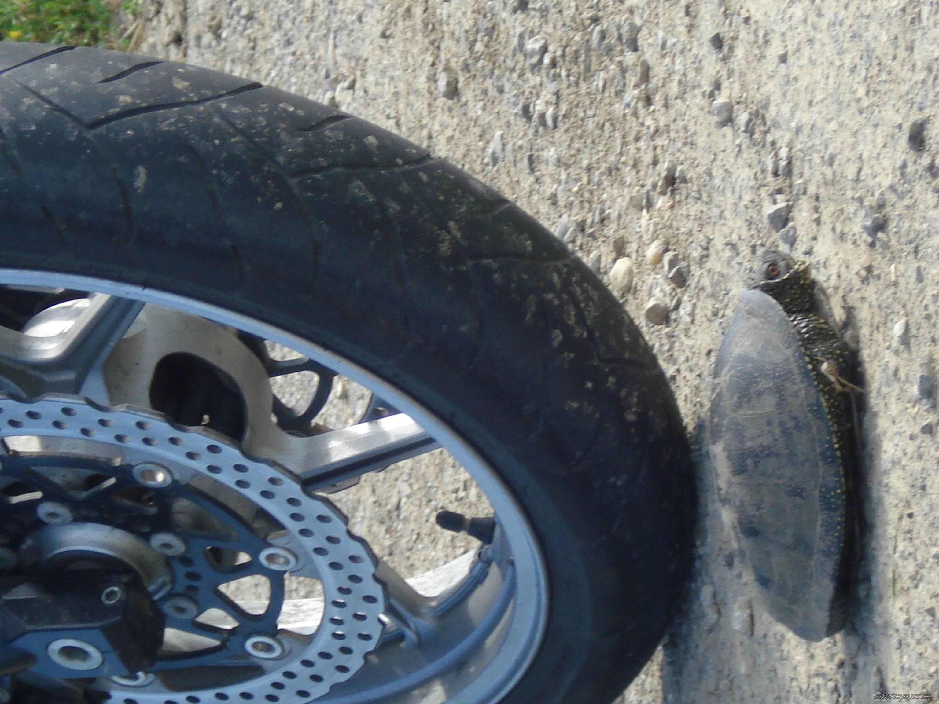 Bike Photo 1478940