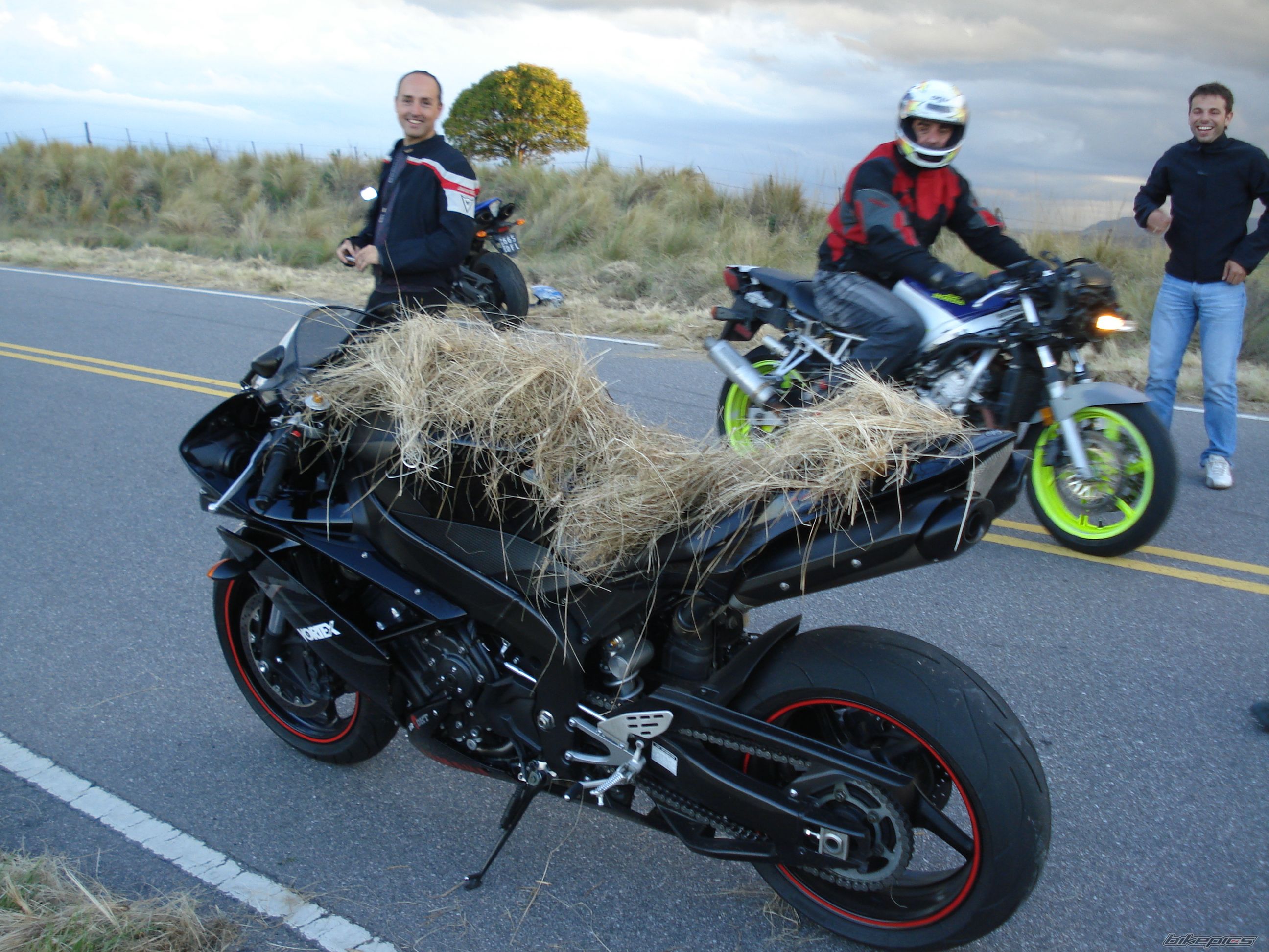 Bike Photo 1479032