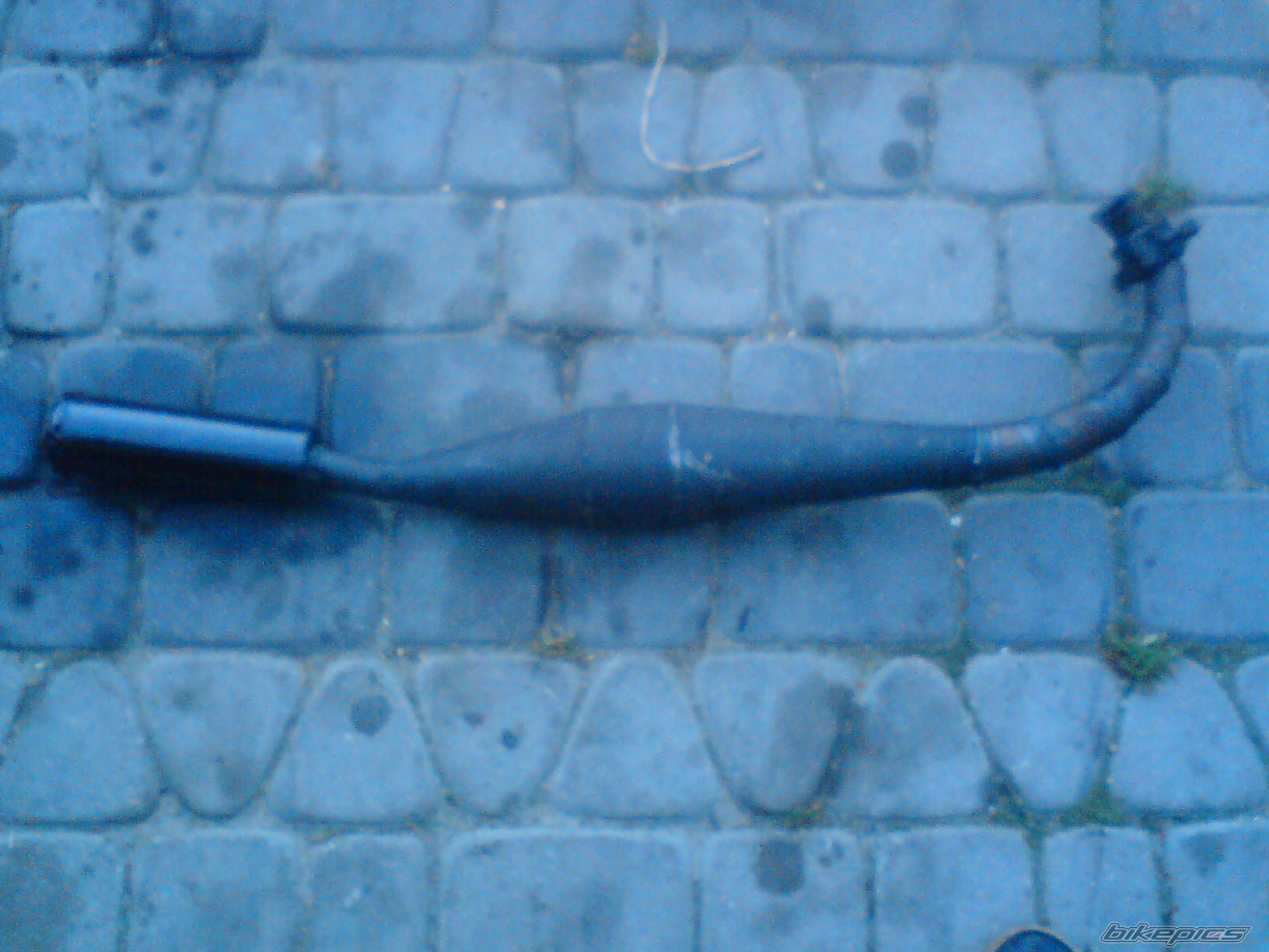 Photo 1479072