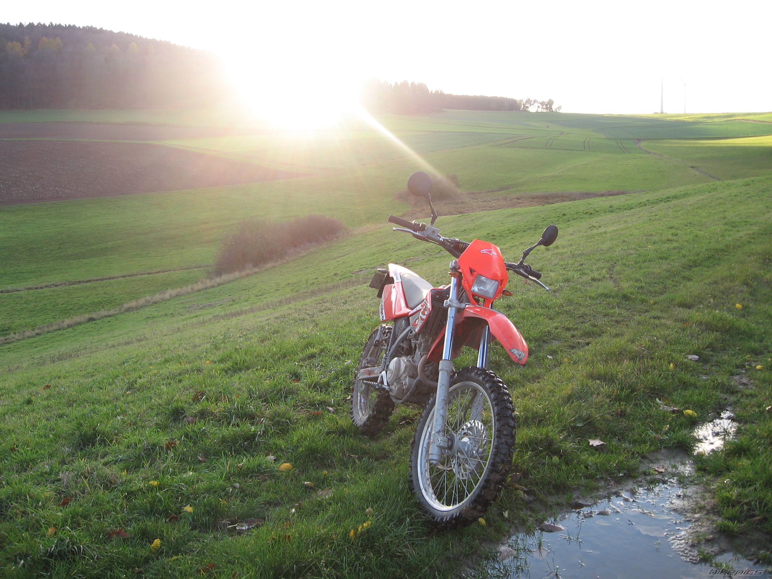 Bike Photo 1479075