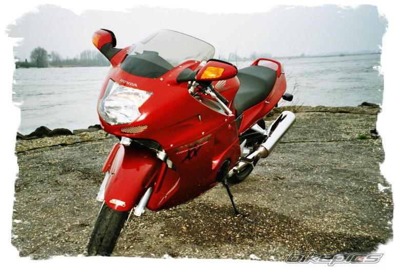 Photo 1479184