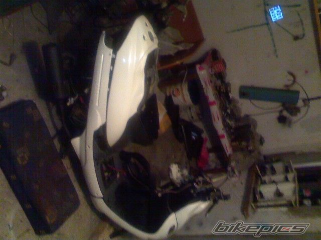 Photo 1479193