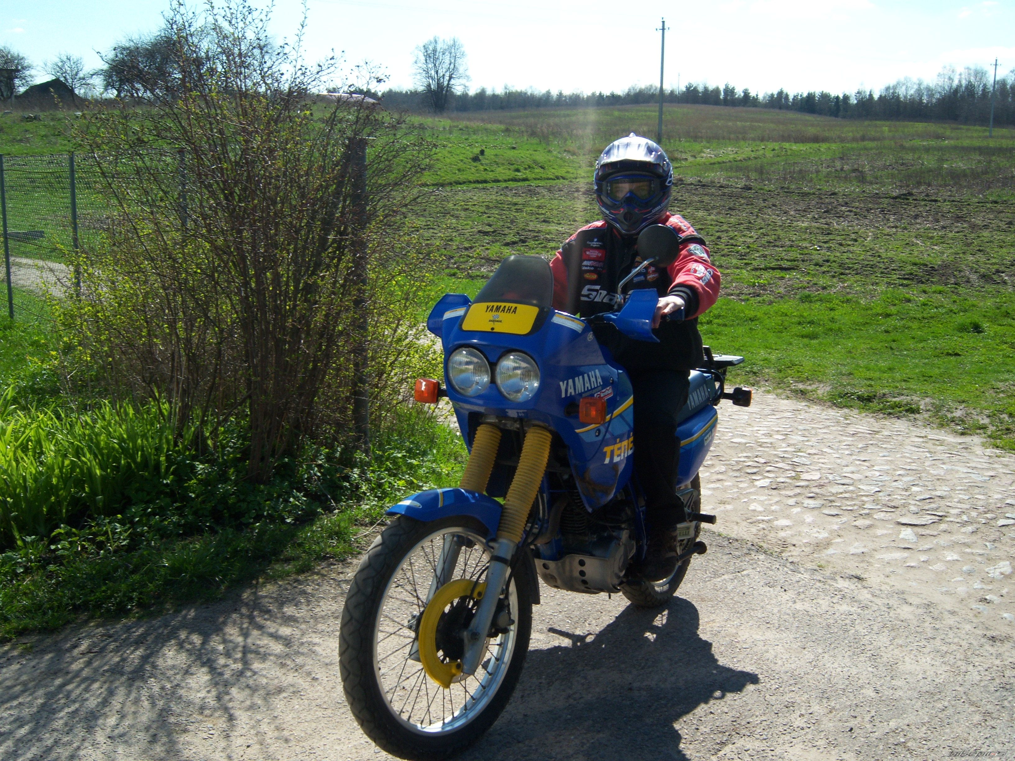 Photo 1479202