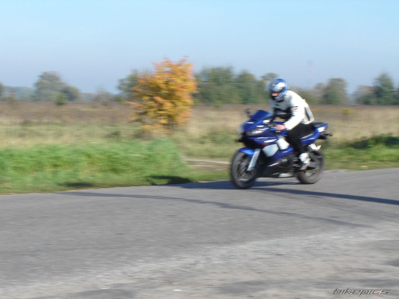 Photo 1479217