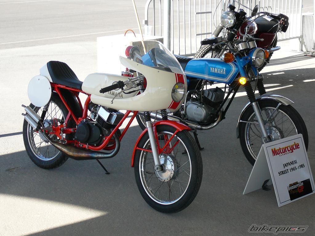 Photo 1479225