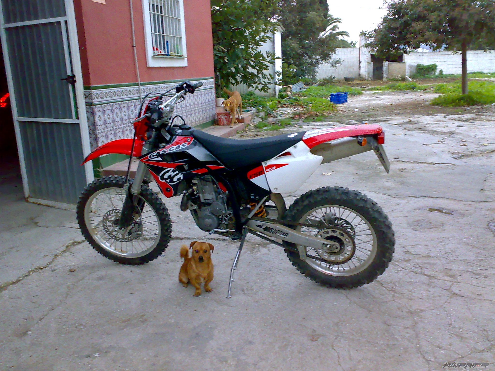 Photo 1479345