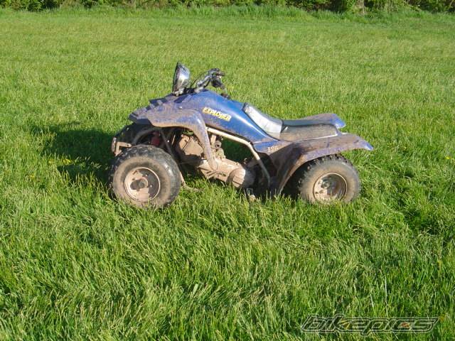 Photo 147935