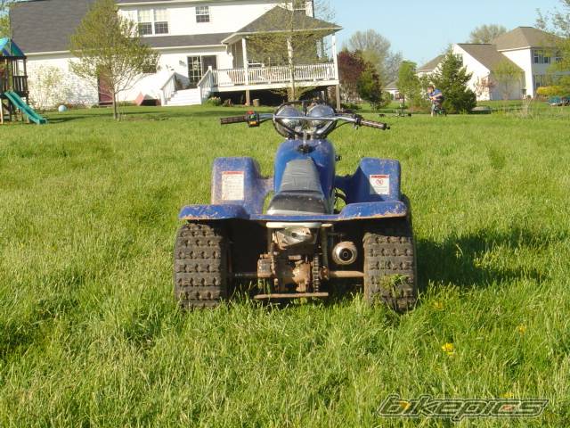 Photo 147936