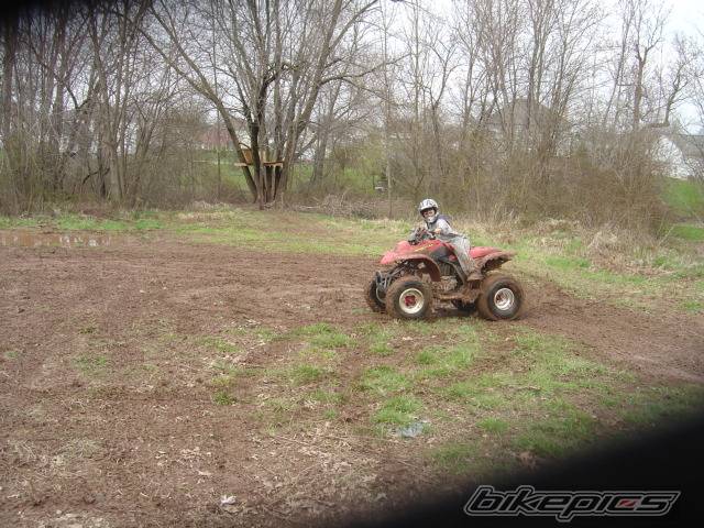 Photo 147937