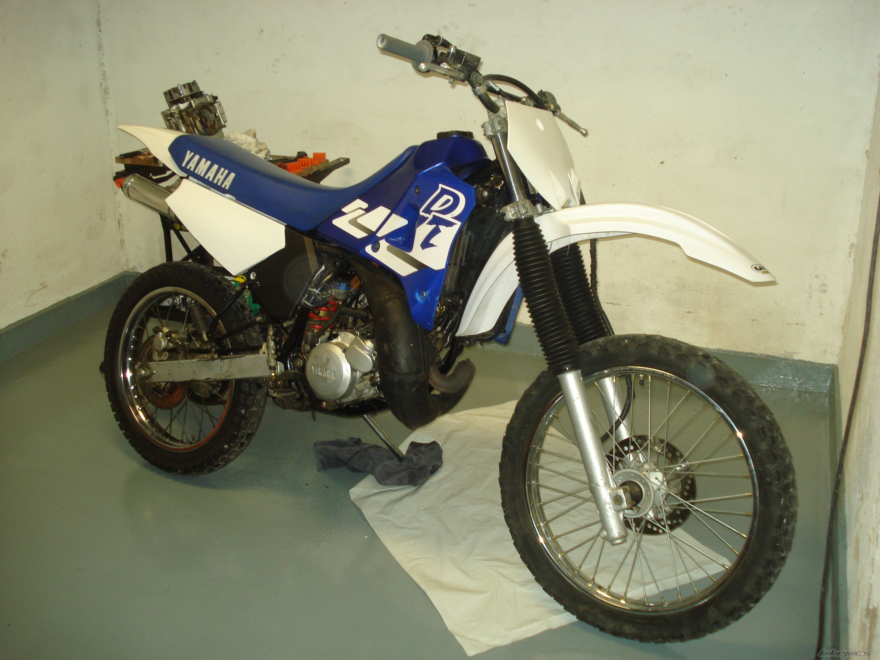 Photo 1479402