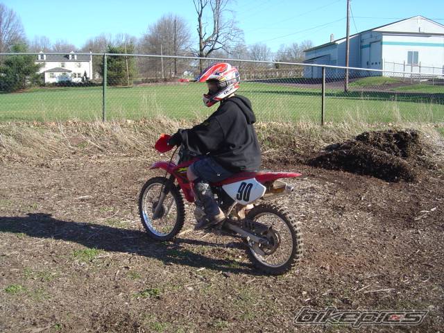 Photo 147941