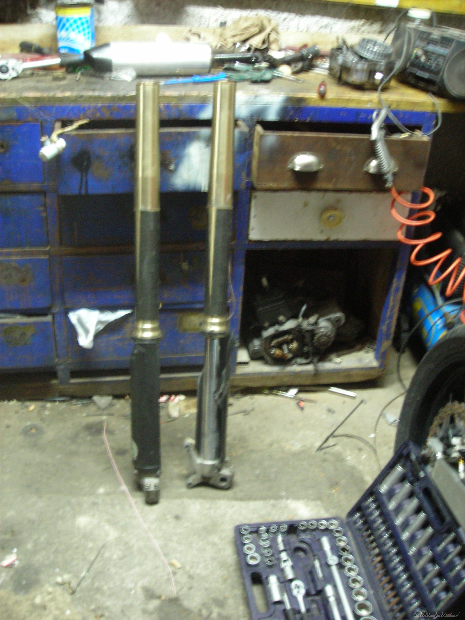 Photo 1479419