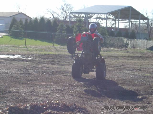 Photo 147942