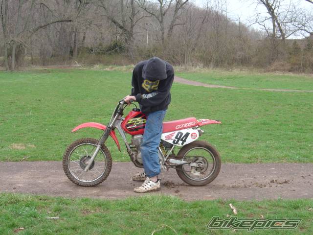 Photo 147943