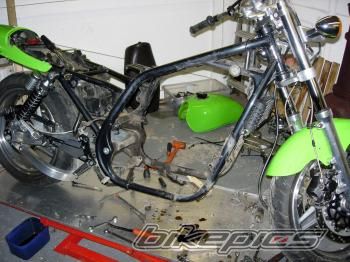 Photo 1479434
