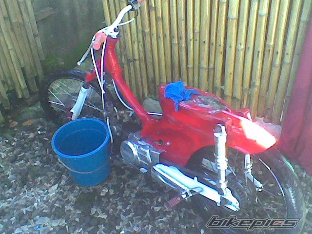 Photo 1479445