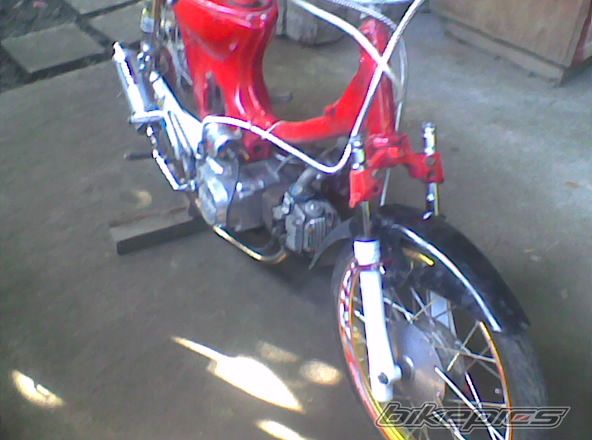 Photo 1479464