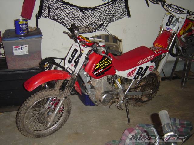 Photo 147947