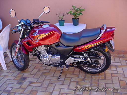 Photo 147952