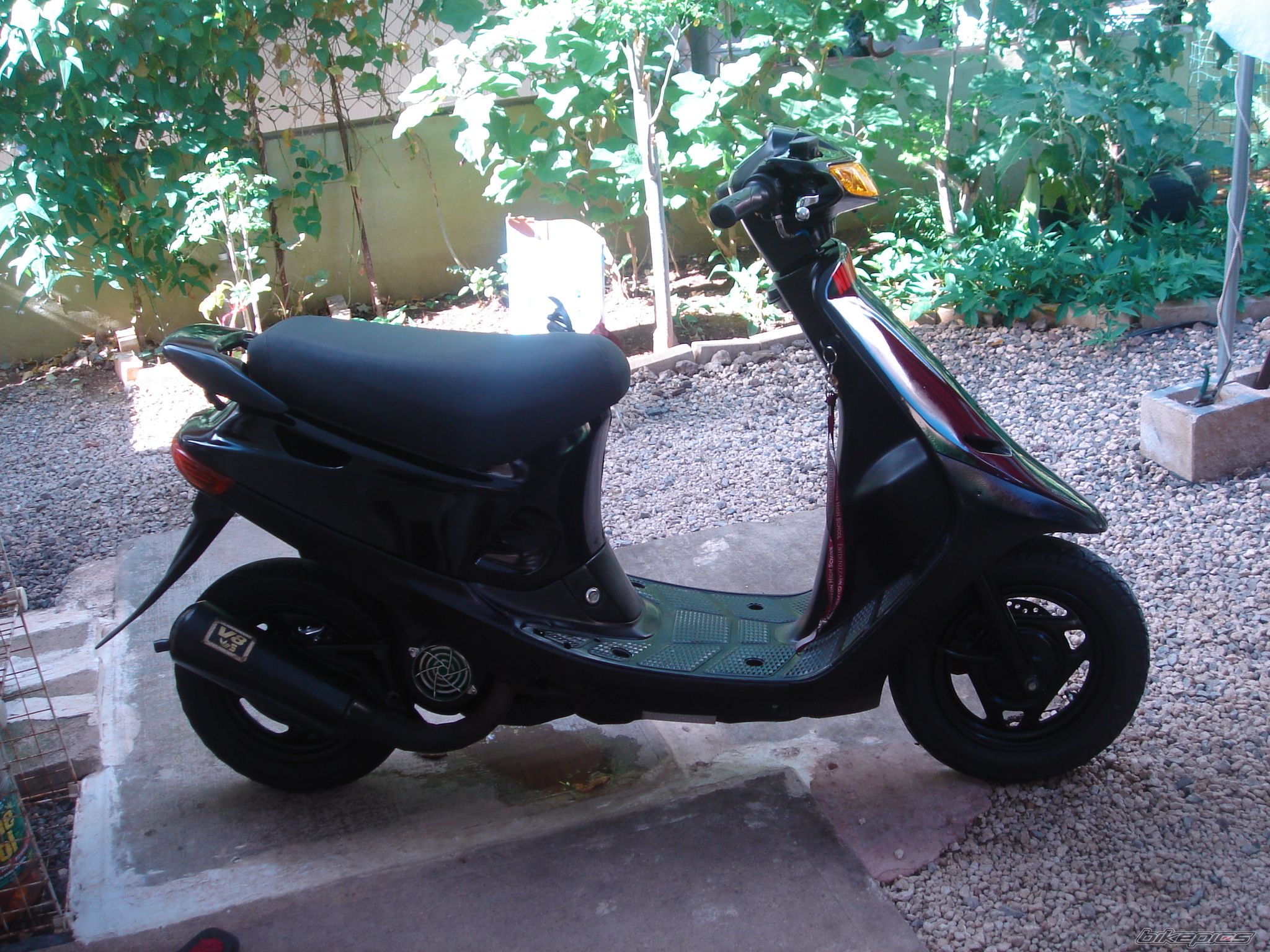 Photo 1479534