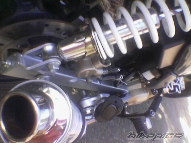 Photo 1479540