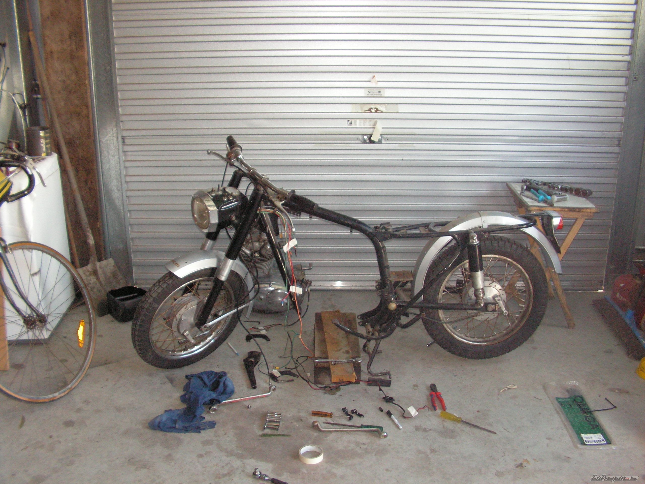 Bike Photo 1479558