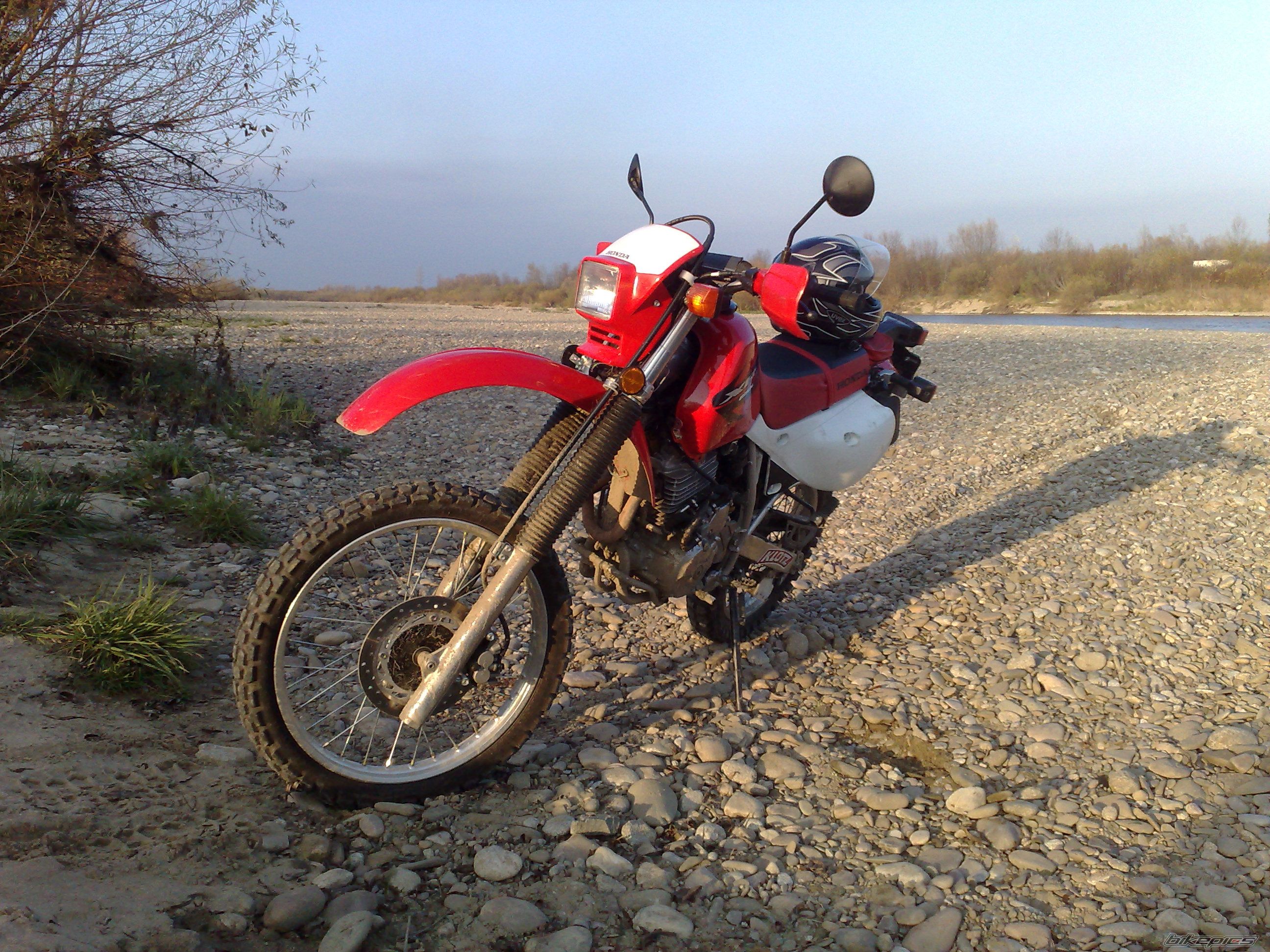 Photo 1479608