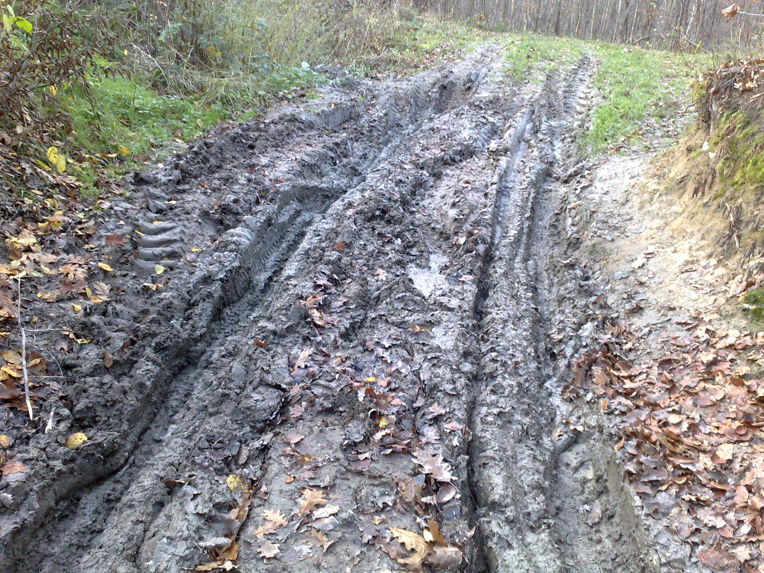 Photo 1479611