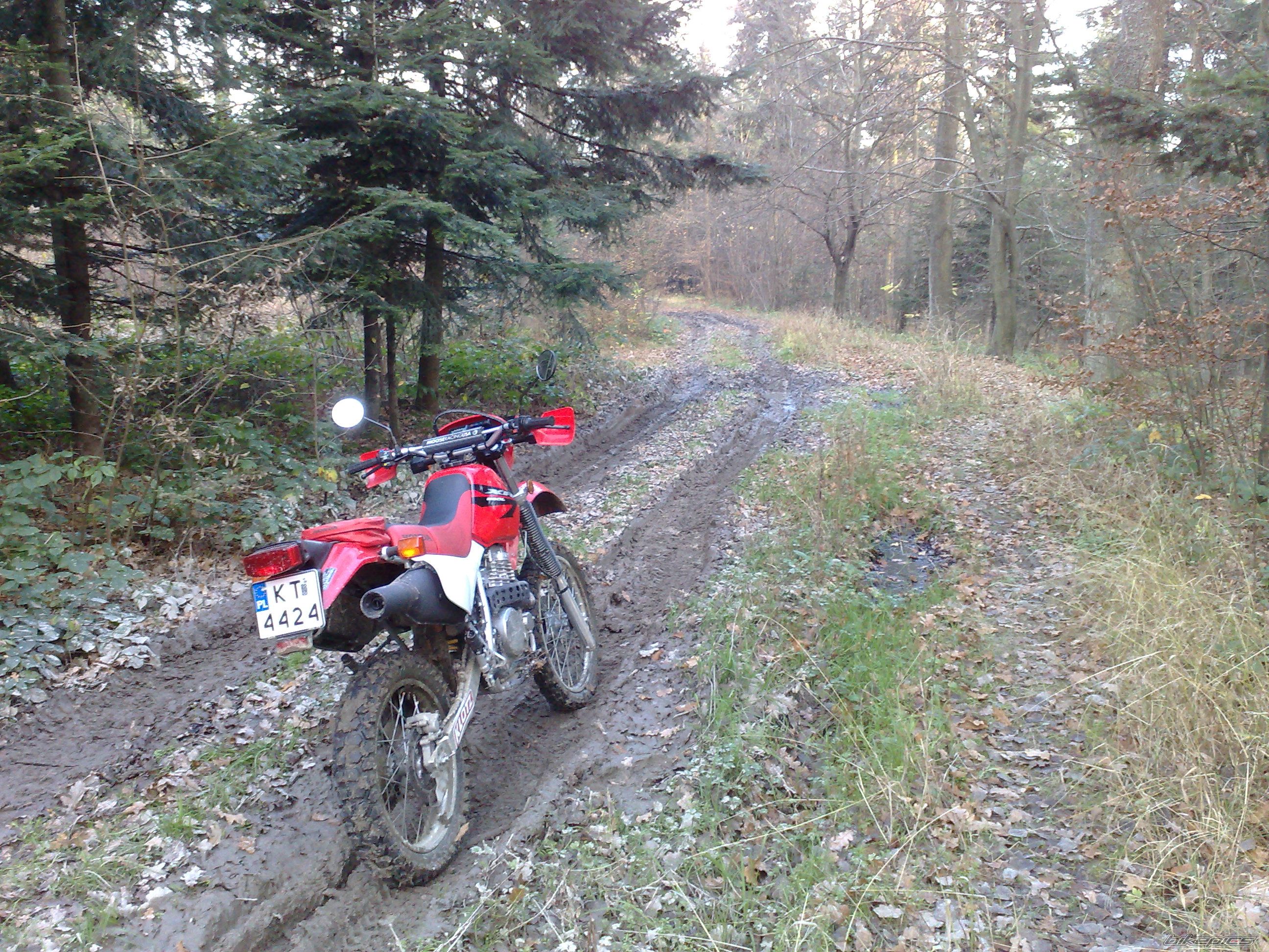 Photo 1479613