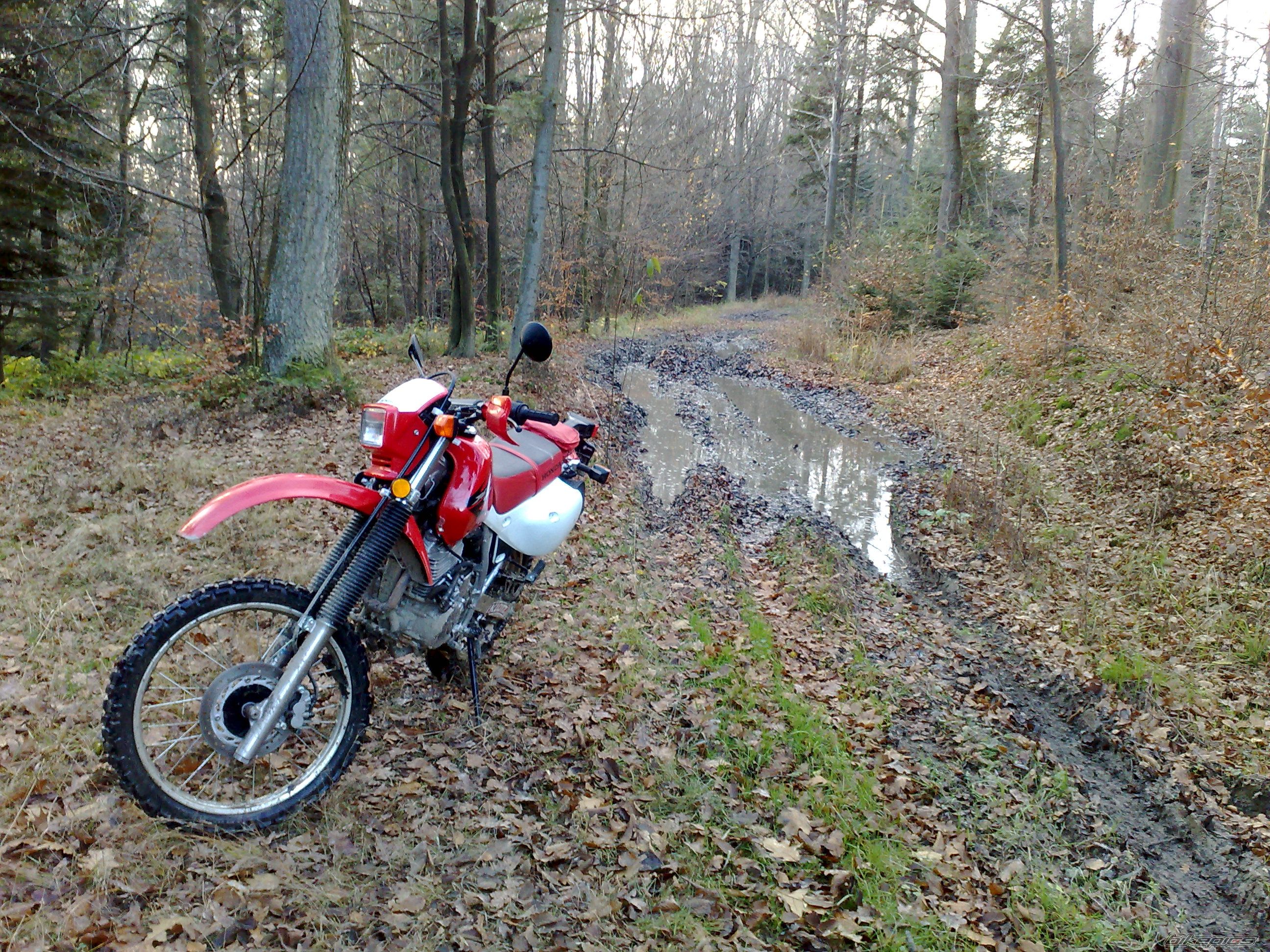 Photo 1479614