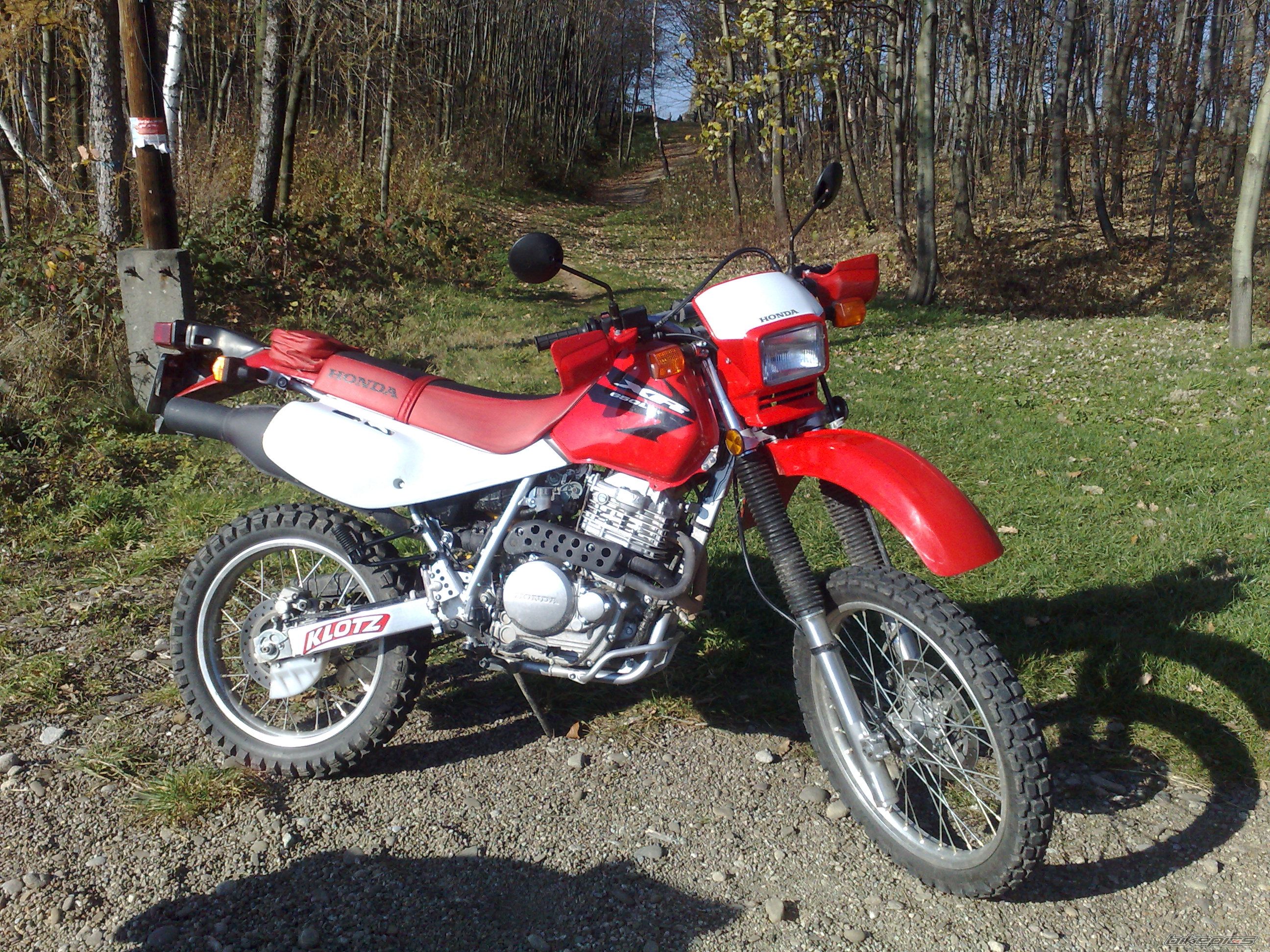 Photo 1479617