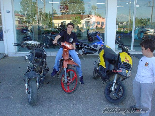 Photo 147962
