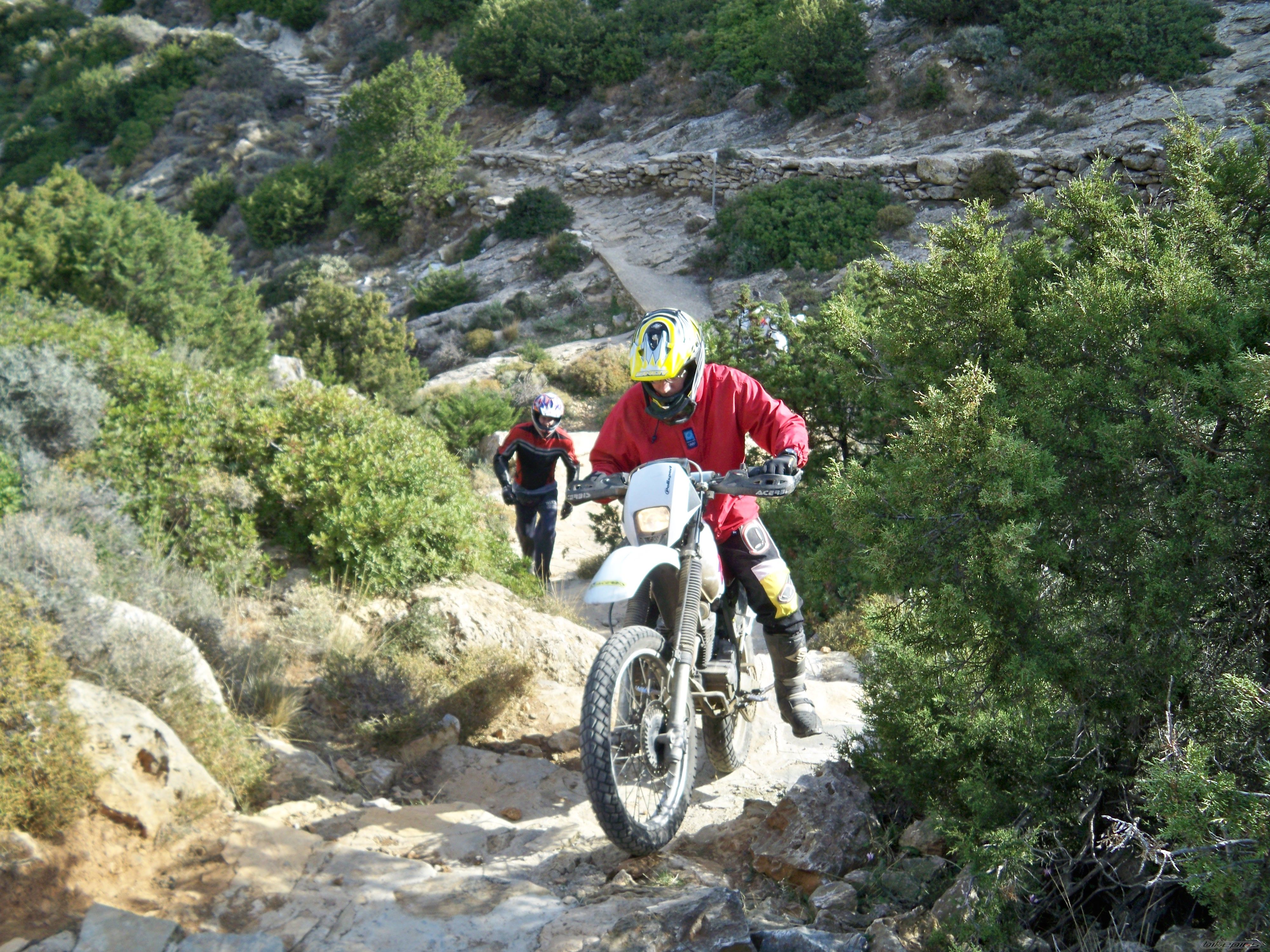 Photo 1479645