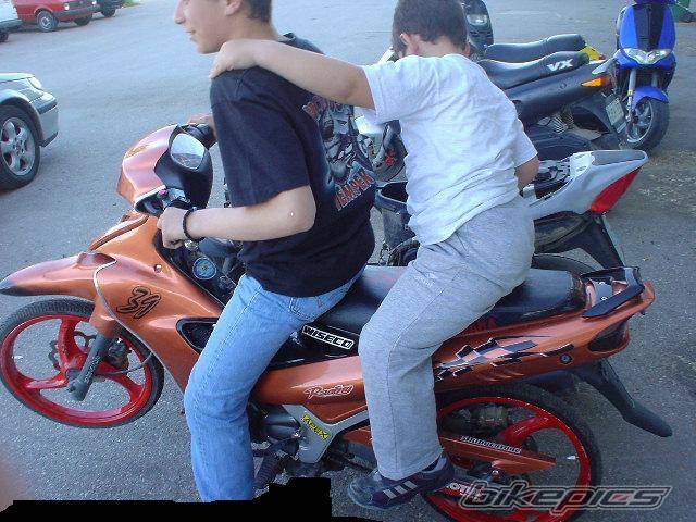 Photo 147965