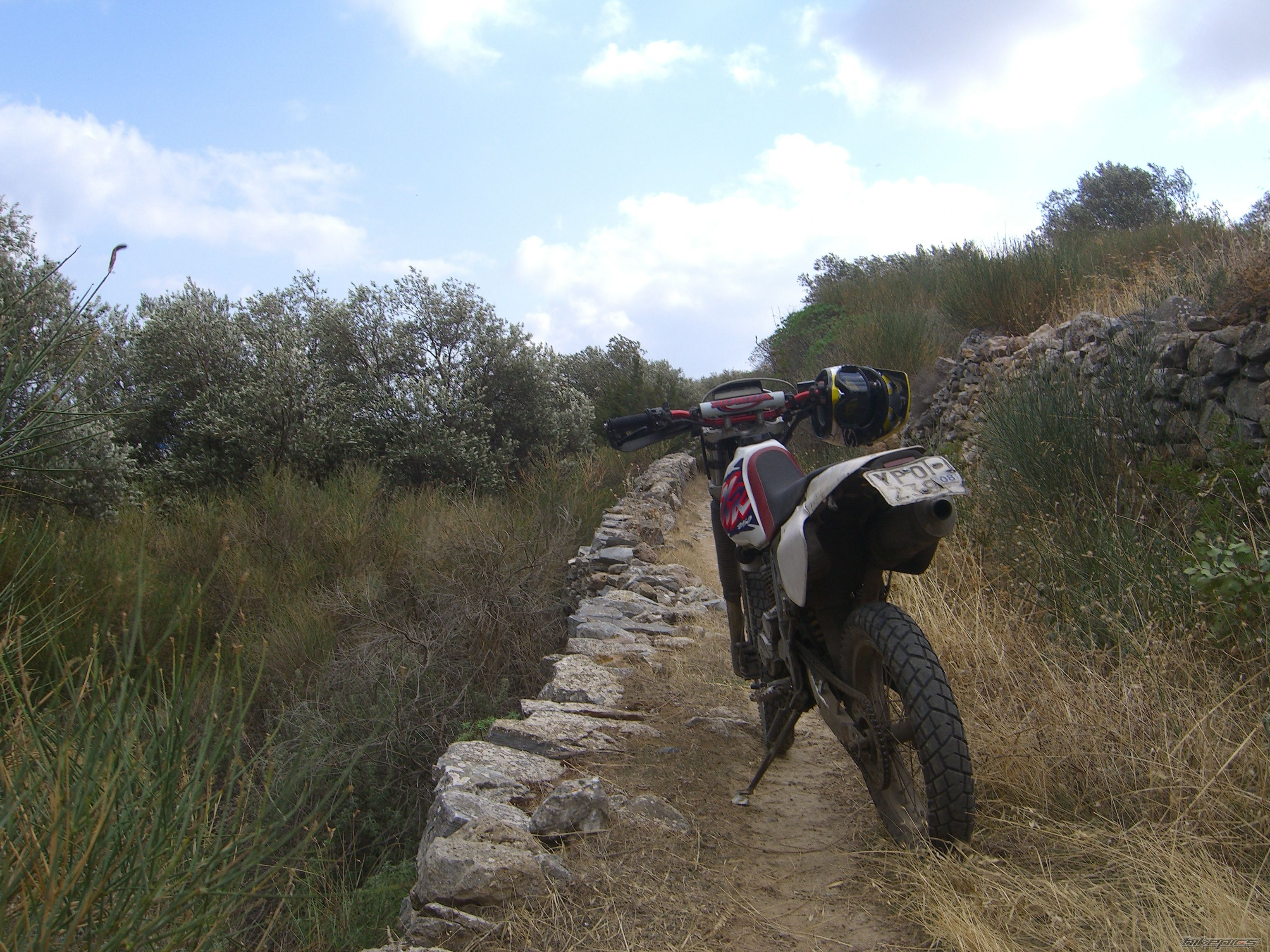 Photo 1479660