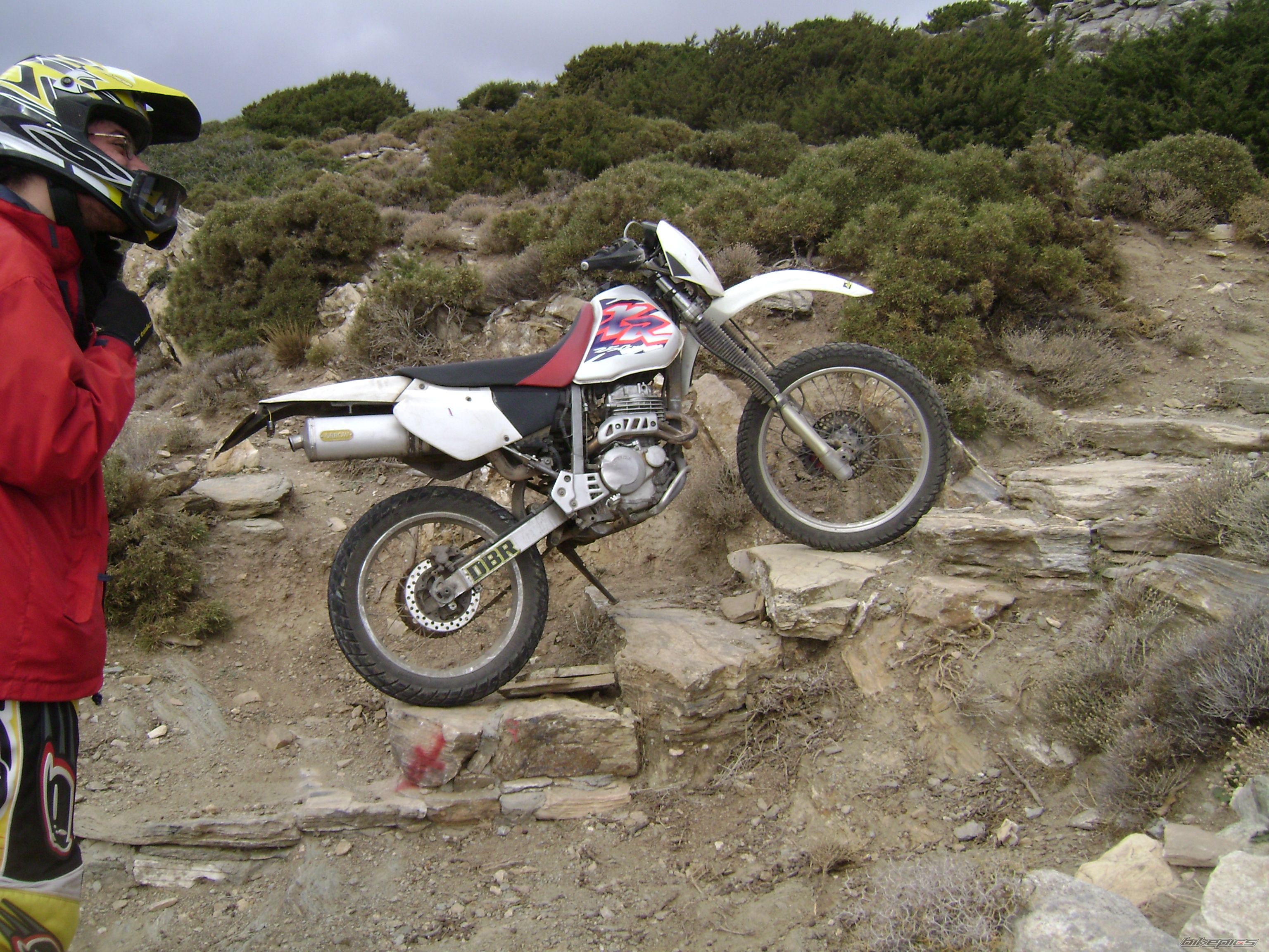 Photo 1479669