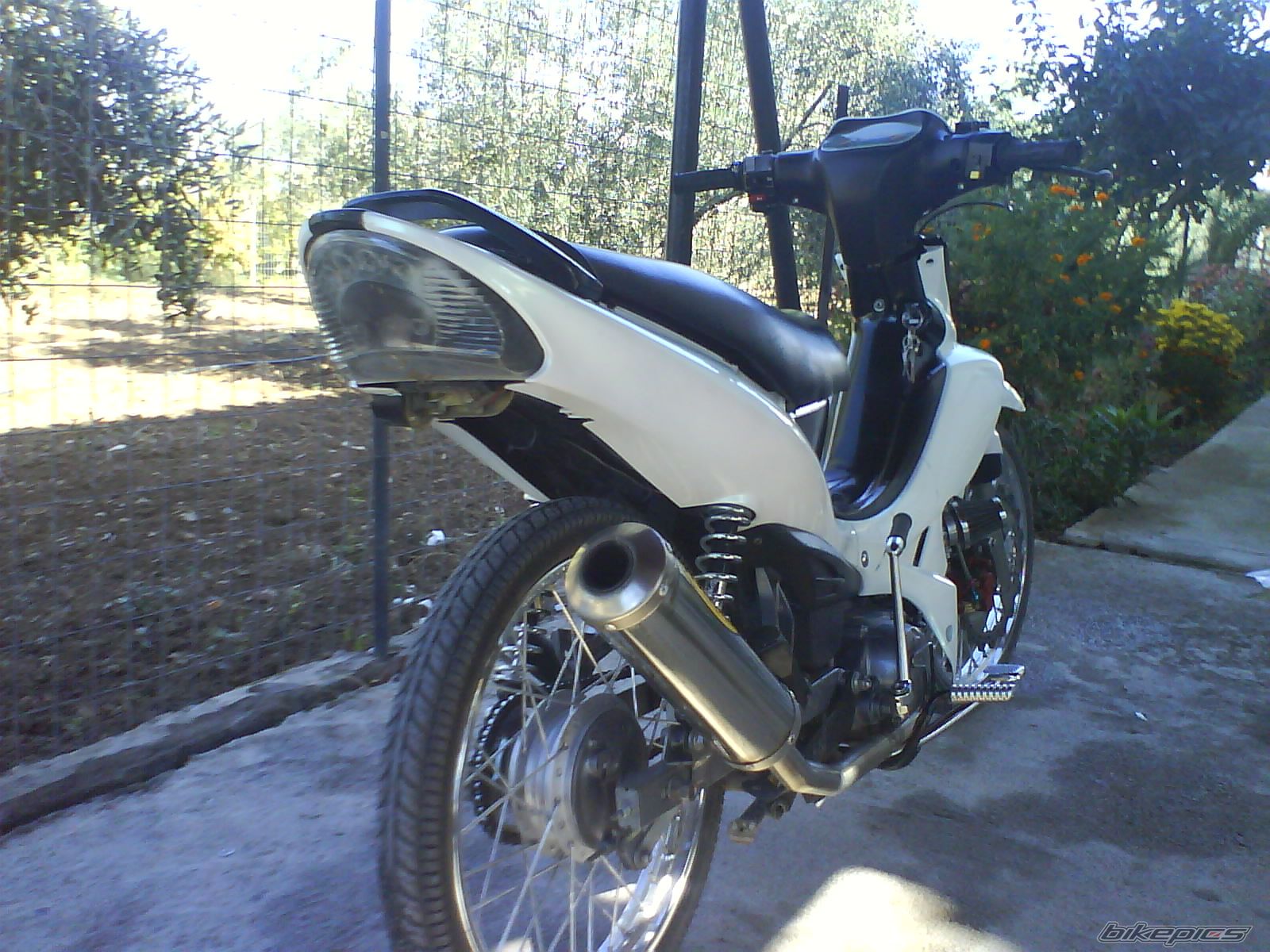 Photo 1479703