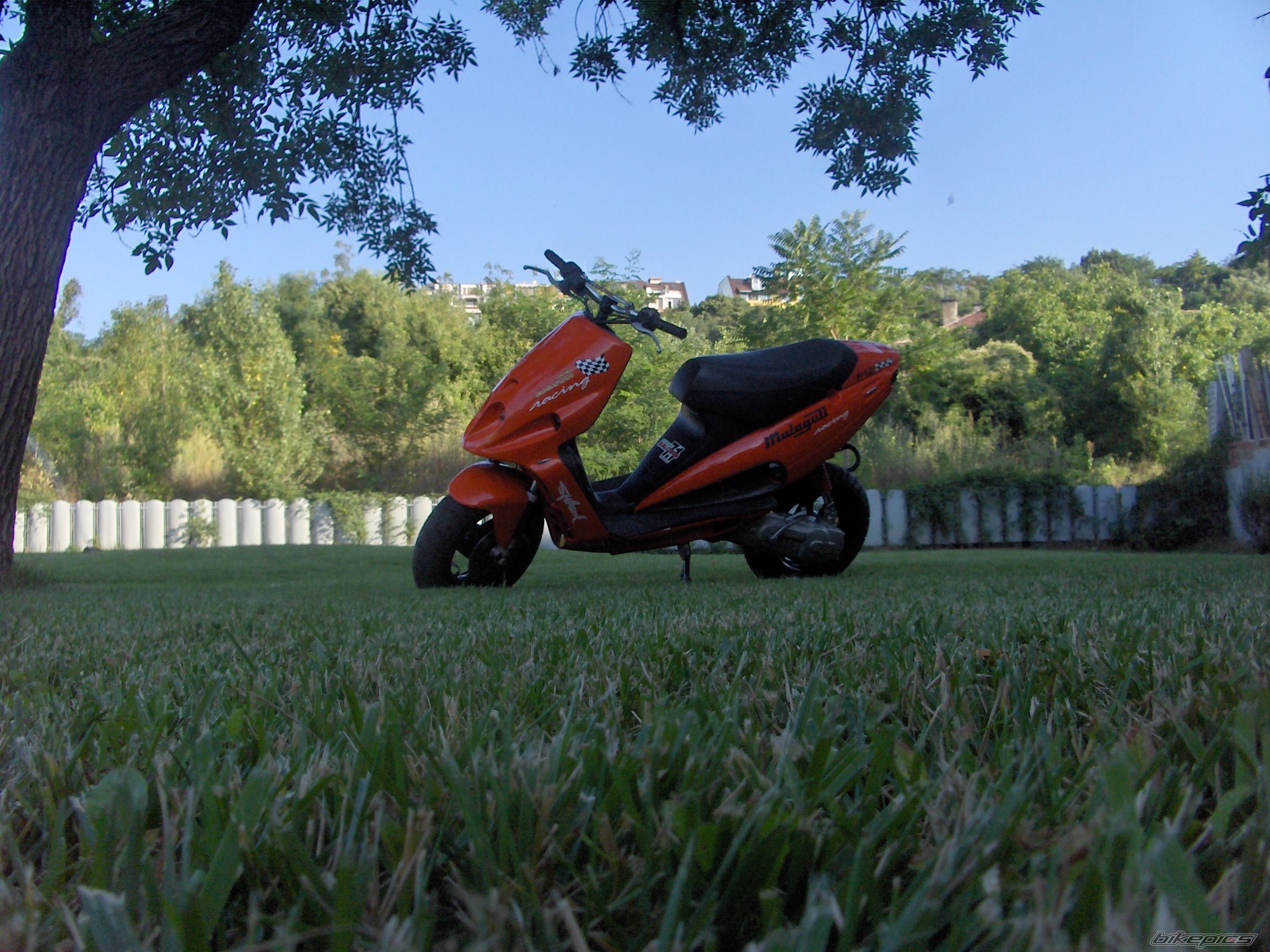 Bike Photo 1479707