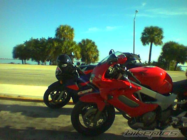 Photo 147977