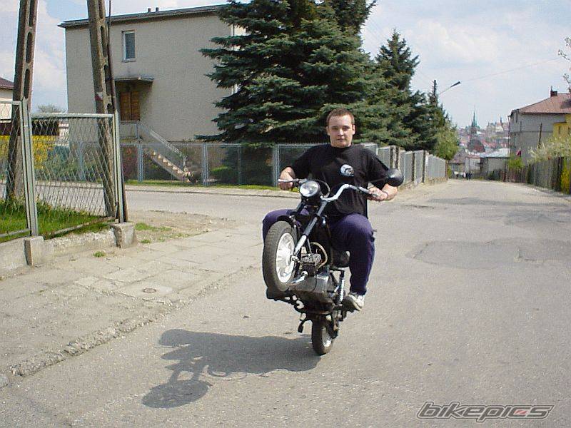Photo 147979