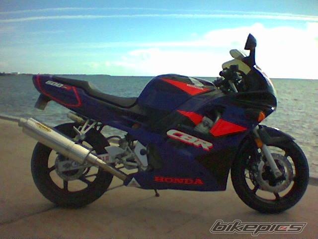 Photo 147984