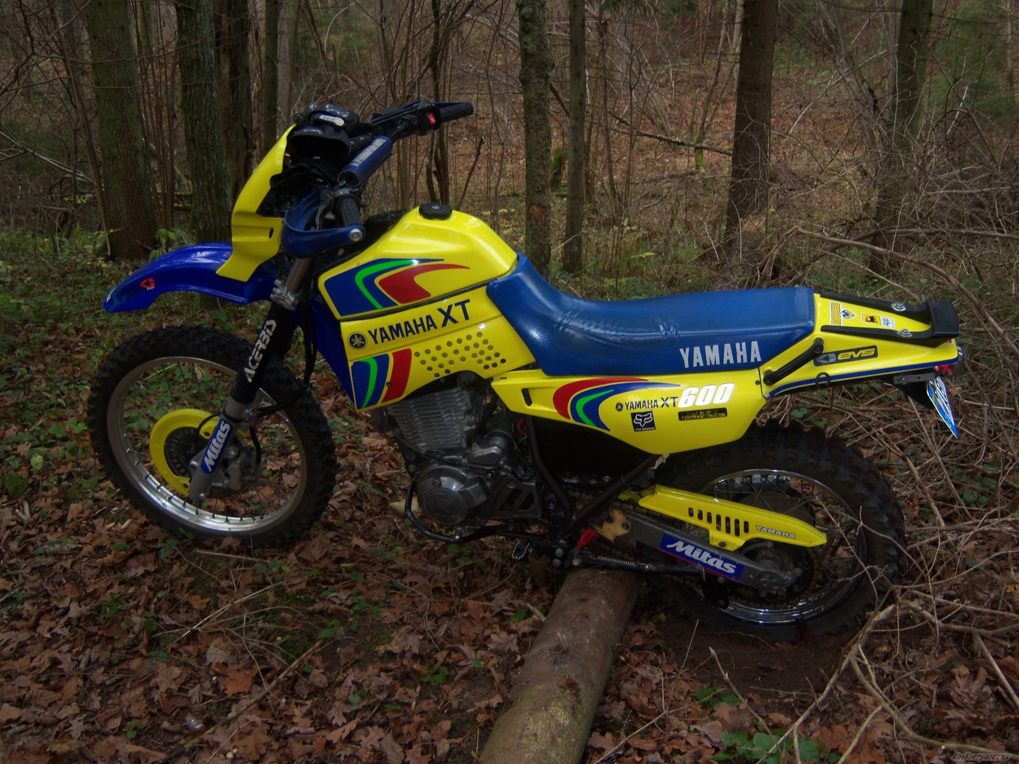 Photo 1479873