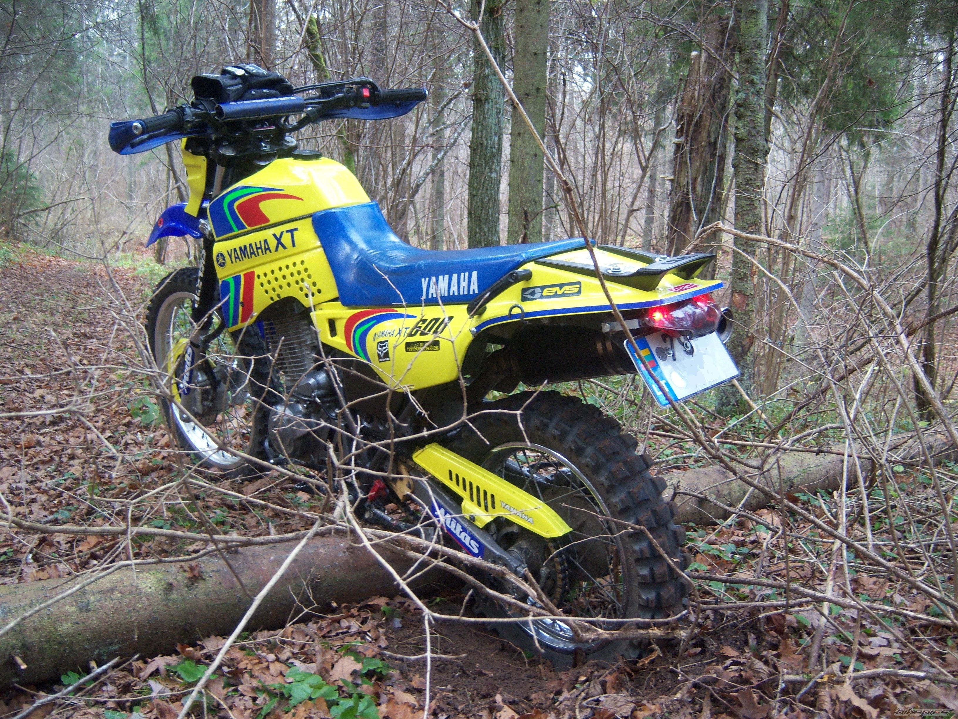 Photo 1479875