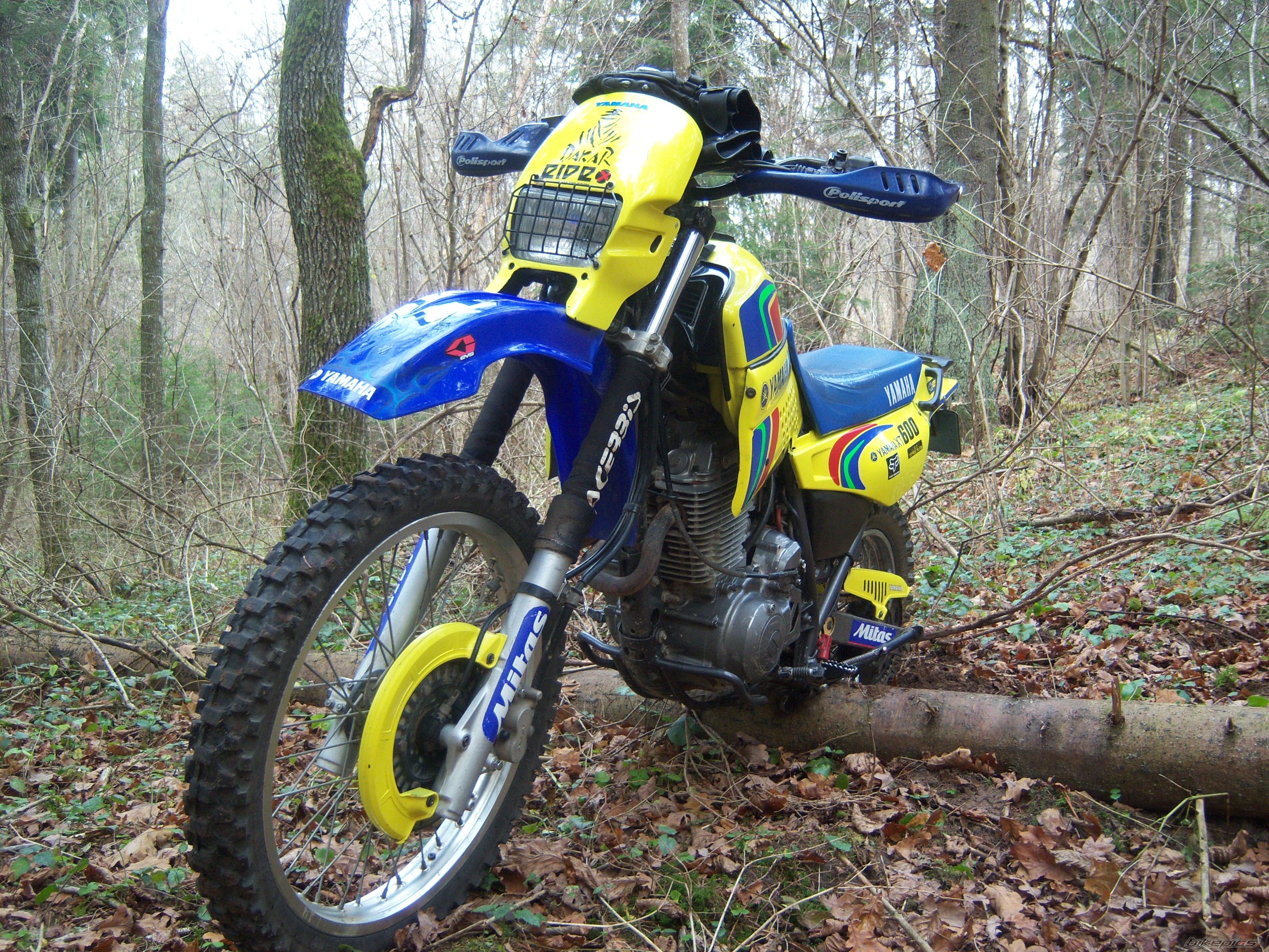Photo 1479878
