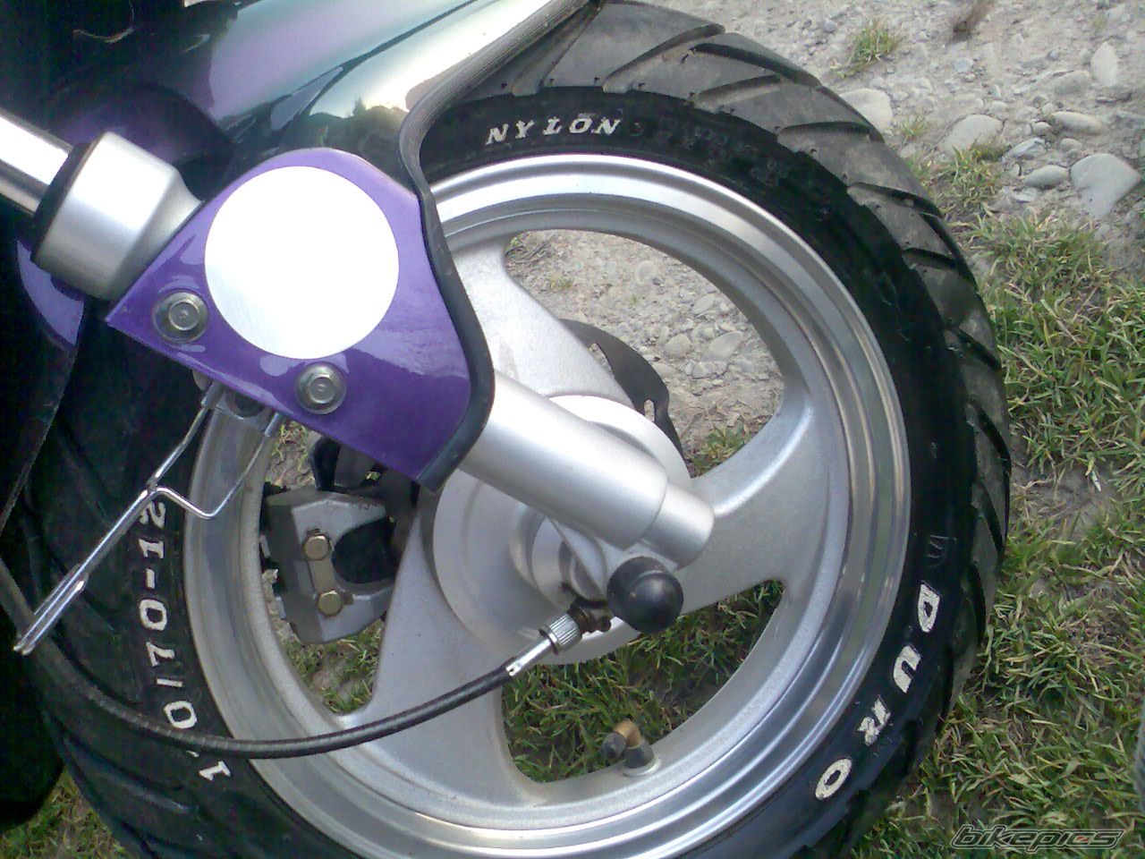 Photo 1479884