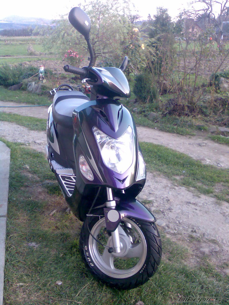 Photo 1479901