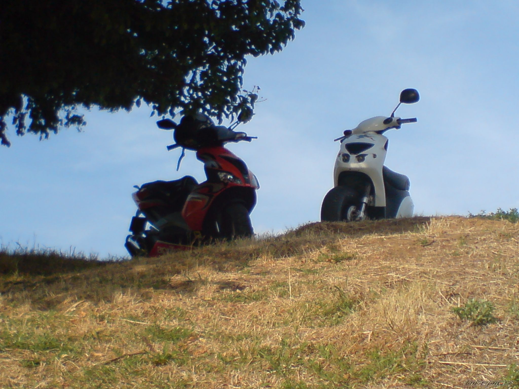 Photo 1479911