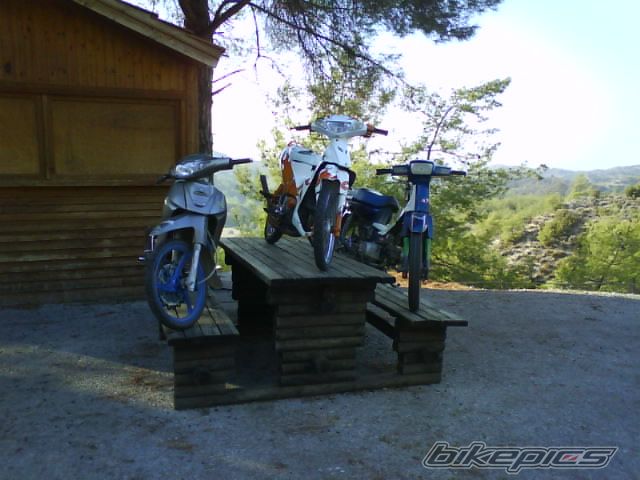 Photo 1479952