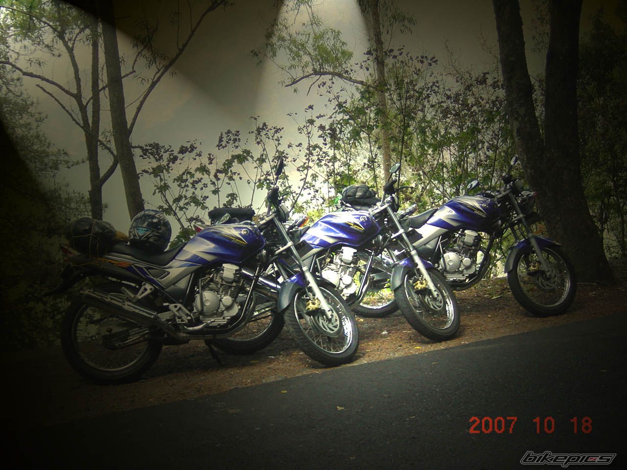 Photo 1479962