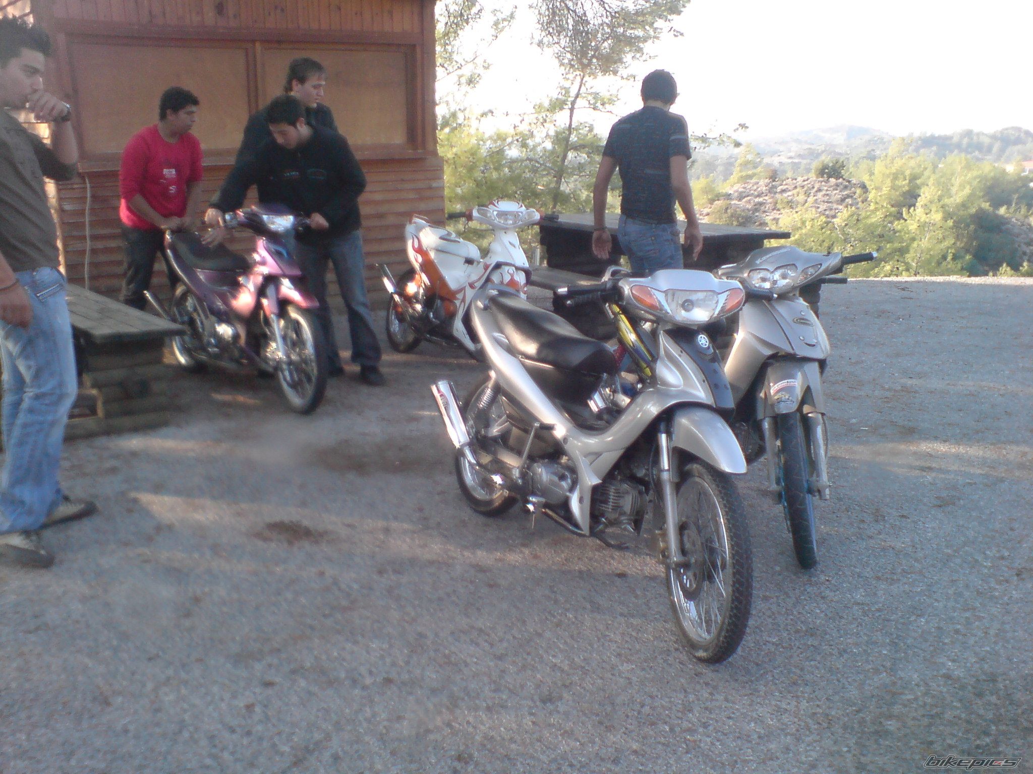 Photo 1479976